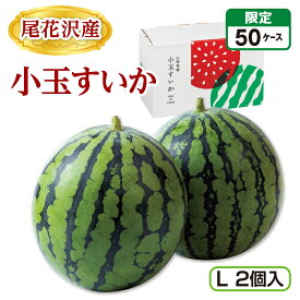 尾花沢産 小玉すいか（L 2個） 産地直送 送料無料