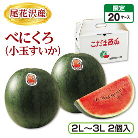 尾花沢産 べにくろ（小玉すいか）（2L〜3L 2個） 産地直送 送料無料