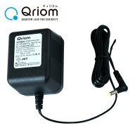 テレビスピーカー用 ACアダプタ AC-YTS500 ACアダプター YTS-30 YWTS-800対応 山善 YAMAZEN キュリオム Q…
