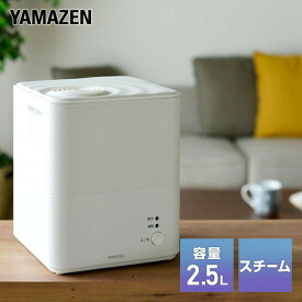 楽天市場 スチーム式加湿器 おしゃれの通販