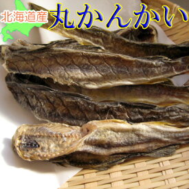 北海道産　丸かんかい(氷下魚)/320g-10袋セット