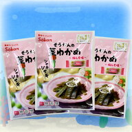 【シャキシャキ茎わかめ/梅しそ味/70g(個装紙込み）3袋セット】おつまみ　オツマミ　珍味　おやつ　オヤ…