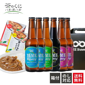 金賞銀賞受賞 クラフトビール 飲み比べ 4種 6本 ご当地カレー2食 甘口 辛口 地ビール 飲み比べセット ギフトセット 小瓶 瓶ビール クラフトビール飲み比べセット ビール詰め合わせ クラフトビールの詰め合わせギフト クラフトビール詰め合わせギフトセット 福岡 送料無料