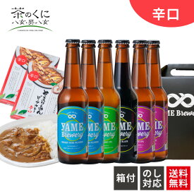 金賞 銀賞 受賞 クラフトビール 飲み比べ 4種 6本 ご当地カレーセット2食 辛口 地ビール 飲み比べセット 小瓶 瓶ビール ギフトセット クラフトビール飲み比べセット ビール詰め合わせ クラフトビールの詰め合わせギフト クラフトビール詰め合わせギフトセット 福岡 送料無料
