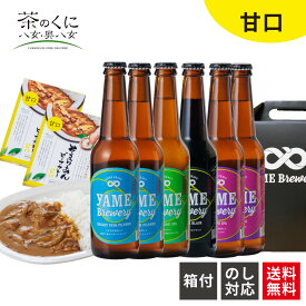 金賞銀賞受賞 クラフトビール 飲み比べ 4種 6本 ご当地カレー2食セット 甘口 クラフト ビール 地ビール 飲み比べセット ギフトセット クラフトビール詰め合わせギフト クラフトビール飲み比べセット 飲み比べセットビール ビール詰め合わせ ビールギフトセット 福岡 送料無料