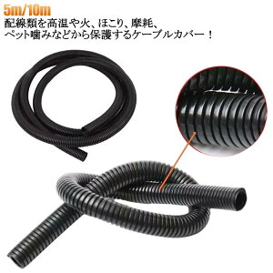 P[uJo[ P[uJo[ R[hیJo[ ϔM dR[hJo[ z h ω fM ϖ  L ybgݖh~ P[uی RZgJo[ ی P[u[  fh~ 