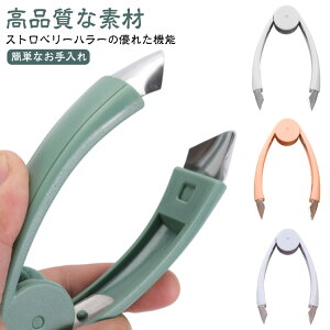 C`S̃w^ ւ  w^ pCibvJb^[ ւƂ C`S̃w^ Xgx[n[ C`S̃w^ C`S w^ s j@ ^l Lb`p