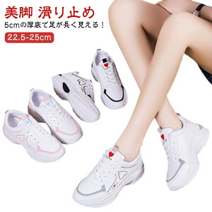 Xj[J[ ₷  ^C X|[c fB[X JWAV[Y ~ jOV[Y C V[Y EH[LOV[Y RtH[gV[Y  r Xj[