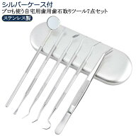 自宅用 器具 スケーラー ステンレス製歯用ツール6点入り 自分で取る 歯垢 デンタルツール ステンレス製 …