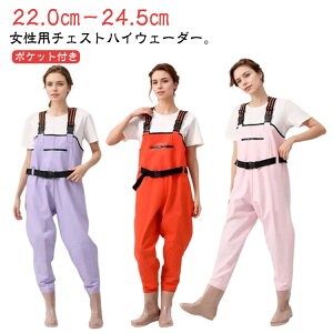 _ EF[_[ C fB[X tC ނ `FXgnCEF[_[ k EF[_[   AEghA Sh tBbVO u[ct tC t p tBbV