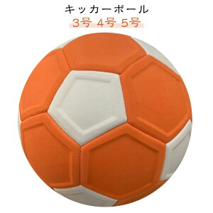 wp V[g LbJ[{[ Kp  TbJ[{[ 3 wp LbJ[{[ ̎q q 5 TbJ[ j̎q 4 WjA LbY WjA qǂ TbJ[  Ȃ ω