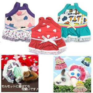 y[։zNEW 18cm Aj}gbvX@ybg@q̃bg ԂETM@傫߃nX^[@s[X@[X@m@XJ[g