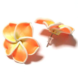 y[։zLb`sAX@128 nCrXJX@o@ӂ낤@LL@Jbgr[Y