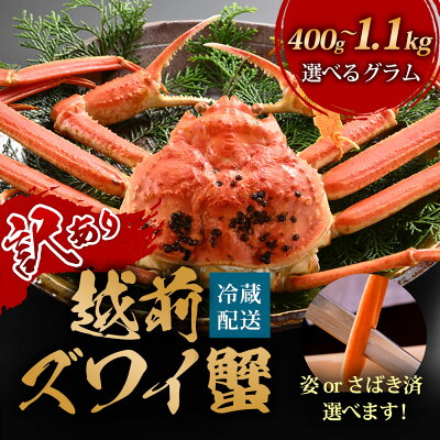 越前ガニ 姿茹で 産地直送