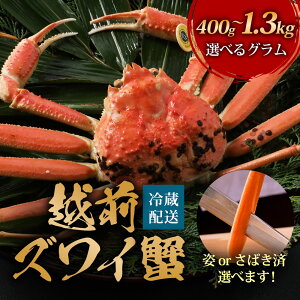 yŒZzyl ΉzyJϑIOKz yĩJjz䥂 zO Ε Mtg  I YCKj {YCKj J  {C zOKj FؓX   