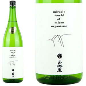 y{zR鉮 @1800ml@t@[XgNX@WhH@V@zyMtgzyΕzyv[gzԐlC@lC