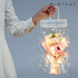 \[vt[  Ό ԑ ͂Ȃ  KN [Y  J[l[V Mtg v[g wj  JXj AEj 蕨 j o^C ސEj 