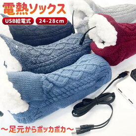 電熱ソックス 発熱ソックス 電熱靴下 USB給電式 保温 防寒 足冷え対策 厚手 ソックス 靴下 裏起毛 男女兼用 電熱 ヒーター靴下 給電式