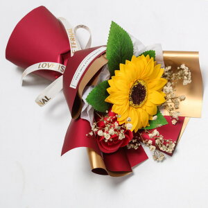 tOX\[vt[ ԑ 񂰑ܕt Ђ܂ o u[P \[vt[ ͂Ȃ   Ό v[g Mtg a 蕨 LO ސEj ʉ j 