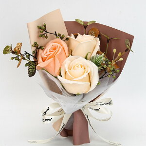 \[vt[ ~ju[P tOX ԑ 3 o hCt[ u[P ͂Ȃ   Ό v[g Mtg ̓ a 蕨 LO o^C ސEj 