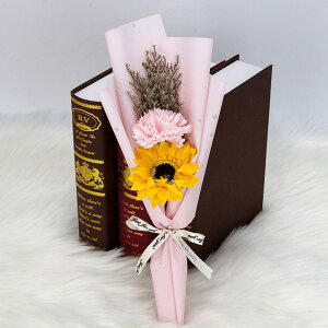 \[vt[ u[P ̓ J[l[V tOX ԑ 2 Ђ܂ Tt[ ͂Ȃ   Ό v[g Mtg a 蕨 o^C ސEj ʉ 