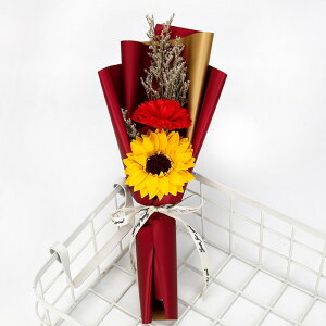 \[vt[ u[P ̓ J[l[V tOX ԑ 2 Ђ܂ Tt[ ͂Ȃ   Ό v[g Mtg a 蕨 o^C ސEj ʉ 