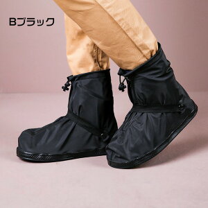 CV[YJo[ ] CV[Y J ~ ォJo[ h ܂肽 ܂ ^ J ЊQ h J J QJ ~J C V[Y Jo[ u[c C