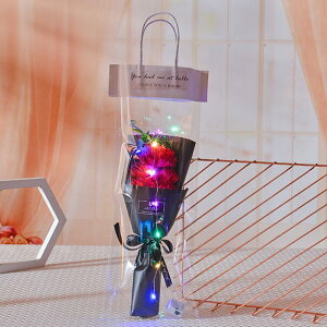 LEDCgt \[vt[ J[l[V ͂Ȃ ԑ 3 LED C~l[VCg tOX u[P   Ό v[g Mtg ̓ a 蕨 LO o