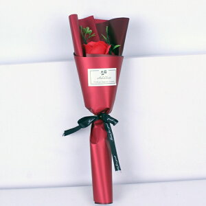 \[vt[ ~ju[P ͂Ȃ tOX ԑ o J[l[V 1   Ό v[g Mtg ̓ a 蕨 LO o^C ސEj ʉ 