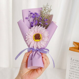 \[vt[ ԑ ̓ ~j Ђ܂ u[P \[vt[ ͂Ȃ   Ό v[g Mtg a 蕨 LO ސEj ʉ j Əj wj 