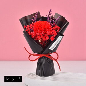 J[l[V ~ju[P ̓v[g \[vt[ ~jԑ \[vt[ ͂Ȃ   Ό v[g Mtg a 蕨 LO ސEj ʉ j 