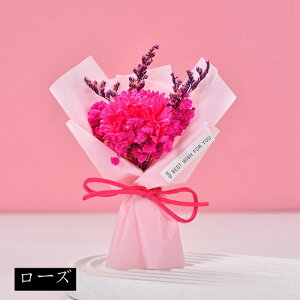 J[l[V ~ju[P ̓v[g \[vt[ ~jԑ \[vt[ ͂Ȃ   Ό v[g Mtg a 蕨 LO ސEj ʉ j 