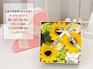 ̓ v[g \[vt[ o  Ό  t[\[v  J[l[V [Y CeA v[g  a Cxg   j Ǝ ސEj 