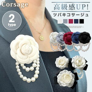 coLRT[W  GKg tH[} p[ r[Y Ӊ p[eB[ 񎟉 l  ̓  Ǝ  w