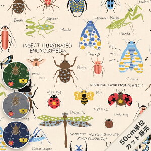 y |CgAbv & yVX[p[SALEzn cC    w j̎q  100  z / } KTS6336 / 50cmP