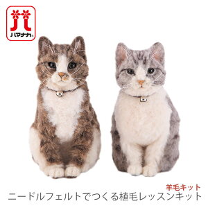 rуtFg Lbg Zbg / Hamanaka(n}iJ) rуLbg j[htFgłAуbXLbg