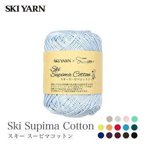ю Rbg 100 T}[[ / SKI YARN(XL[ю) XL[ X[s}Rbg 1 t