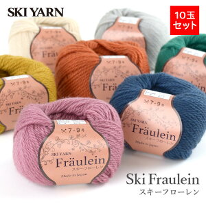 毛糸 まとめ買い 10玉 並太 ウール 100% / SKI YARN(スキー毛糸) スキー フローレン 10玉セット 秋冬