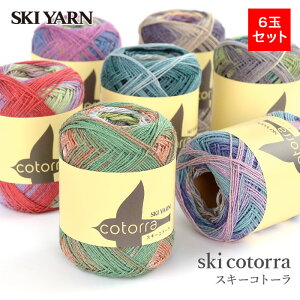 ю ܂Ƃߔ 6 Of[V i / SKI YARN(XL[ю) XL[ Rg[ 6ʃZbg t