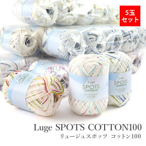ю Z[ AEgbg  / SKI YARN(XL[ю) XL[ [WX|bc Rbg100 5ʃZbg t / ݌
