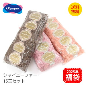 2025N ю  VCj[t@[ 15ʃZbg 2025-3 