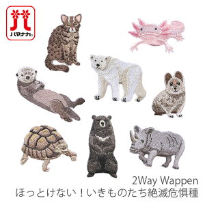 ���b�y�� �A�C���� ���� / Hamanaka(�n�}�i�J) 2Way Wappen �ق��Ƃ��Ȃ��I�������̂�����Ŋ뜜��