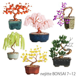 MIYUKI(�~���L) nejitte BONSAI 7~12 12cm×7cm×3.5cm �r�[�Y ���C���[ 1��