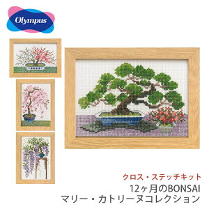 �N���X�X�e�b�` �h�J �h���イ �L�b�g Olympus(�I�����p�X) �N���X�E�X�e�b�`�L�b�g 12������BONSAI �}���[�E�J�g���[�k�R���N�V����