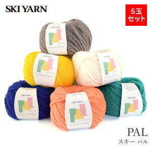 ю ܂Ƃߔ 5 ɑ E[ ApJ SKI YARN(XL[ю) XL[ p 5ʃZbg H~