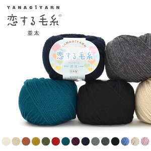 ю  E[ 100 mE[ / YANAGIYARN(iM[) ю  1 / IWi
