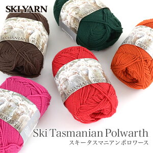 ю  E[ 100 / SKI YARN(XL[ю) XL[ ^X}jA|[X 1 H~