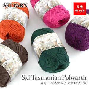 ю ܂Ƃߔ 5  E[ 100 / SKI YARN(XL[ю) XL[ ^X}jA|[X 5ʃZbg 2 H~