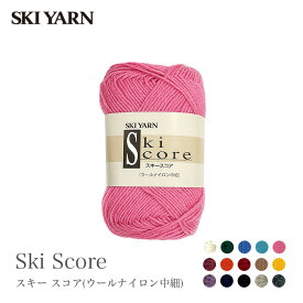 毛糸 中細 / SKI YARN(スキー毛糸) スキー スコア ウールナイロン中細 2 秋冬