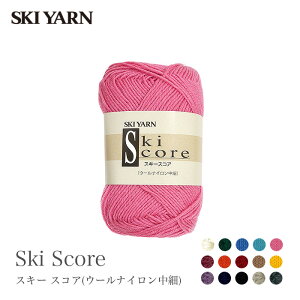 ю  / SKI YARN(XL[ю) XL[ XRA E[iC 2 H~